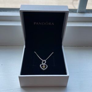 Pandora Necklace